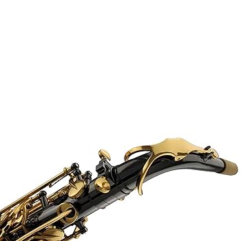 電子サックス 本体 黒と金 61iuPXZ07NL.jpg_BO30,255,255,